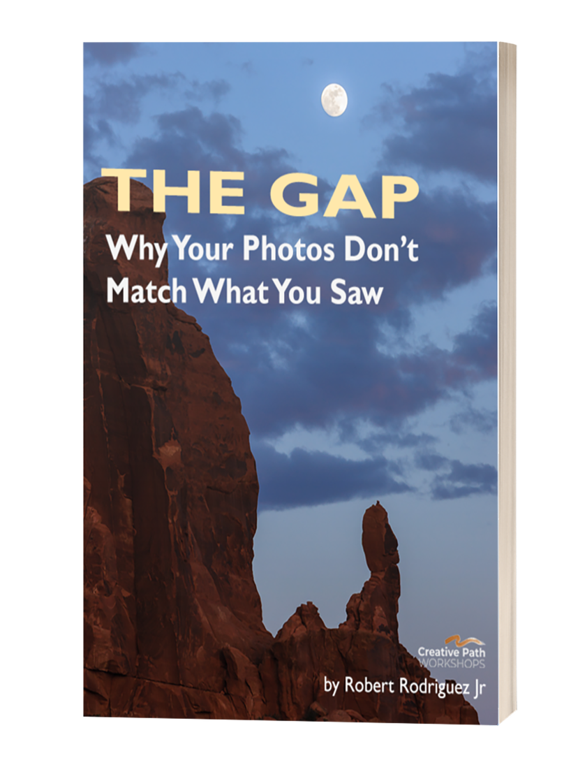 The Gap — free ebook