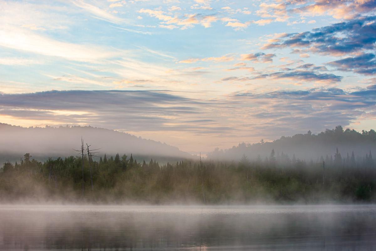Misty morning landscape